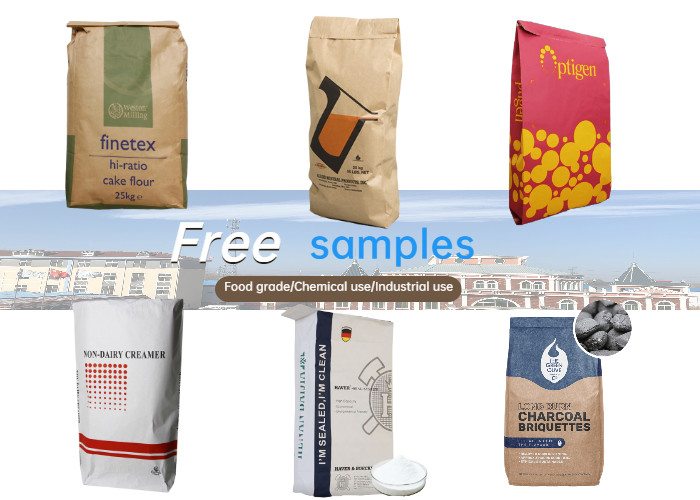 15kg 20kg 25kg Corn Syrup Pasted Valve Bags Potato Starch Valve Bag