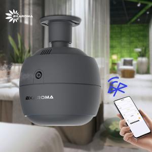 China 250ml Air Diffuser Essential Oil Sterilization Aroma Diffuser Commercial wholesale