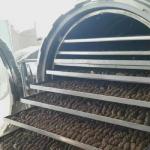 50kg Vacuum Freeze Drying Machine Large Scale Freeze Dryer 12 Trays