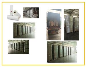 China 17 Mic Gloss Lamination Film High Performance Environmentally Friendly wholesale
