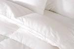 Supply High Quality Hotel Goose Down Quilt
