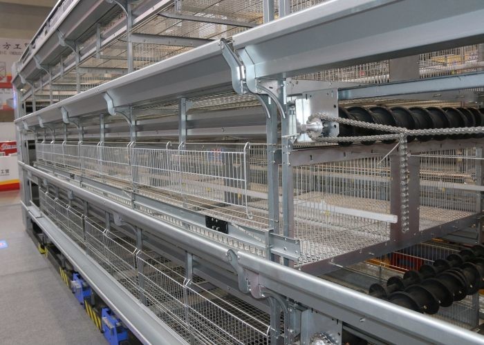 H Type Broiler Chicken Cage Full Automatic Chicken Layer Equipment