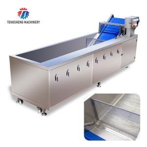 China Sludge Stripping Kumquat Fruit Vegetable Washing Machine Water Pump Surfing wholesale