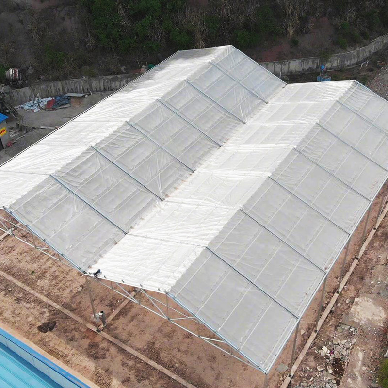 Single Layer Stable Structure Poly Tunnel Greenhouse for Agricultural Retractable Film Automated