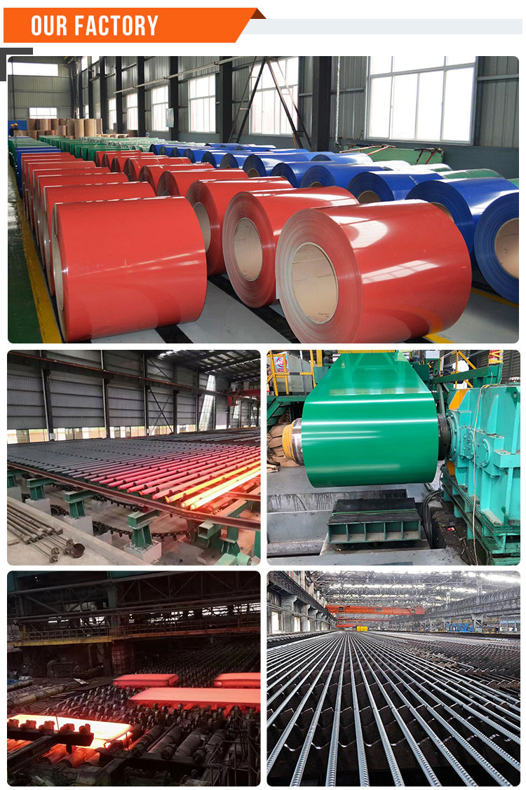 Dx51d Dx52D Dx53D Pre Painted Galvanized Steel Sheet And Coils