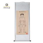 Acupuncture Culture Teaching Supplies For Understanding The Concept Of Qi And