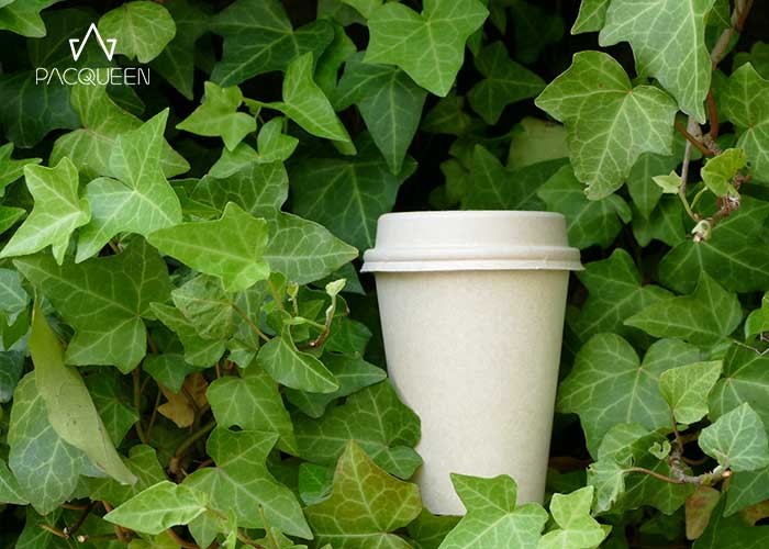 Plant Based Material Compostable Hot Cups , Recyclable Takeaway Coffee Cups