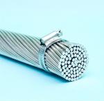 WEEVIL IEC 61089 30mm2 AAC All Aluminum Conductor