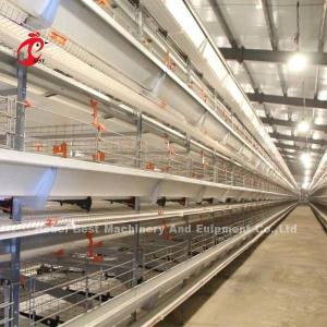China Full Automatic Battery Cage Price In Nigeria H type layer Mia wholesale
