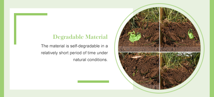 Customed Biodegradable Plastic PE Vest Type Reusable Bags on Roll for Supermarkets