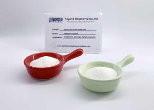 China Multifunctional Fish Scale Collagen Powder , Food Grade Cod Fish Collagen wholesale