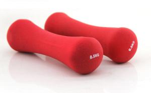 China 0.5kg 0.75kg 1kg 1.5kg 2kg 3kg wholesale women use neoprene coated dumbbell with best price wholesale