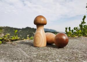 China 176g KRG-033 Adjustable Salt &amp; Pepper Grinder In Mushroom Design wholesale