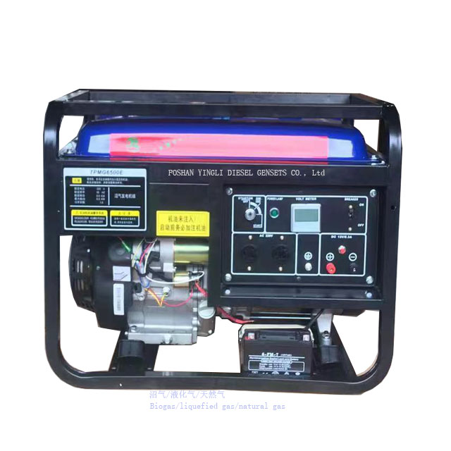 6.25KVA Power Diesel Generator For Home Biogas Generator Set 5KW AC Single Phase