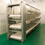 Q235 Steel Automatic Poultry Farm Equipment Chicken Layer Cages For Laying Hens