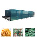 304SS IQF Fruit Vegetable Liquid Nitrogen Tunnel Freezer