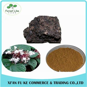Anti-tumor Chinese Magical Herb Wild Lingzhi Shell-broken Spore Powder