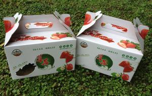 China foldable logo-printed corrugated box wholesale