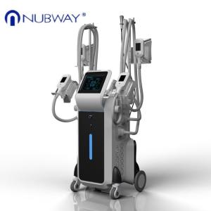 China Loss Weight cryolipolysis 4 handles fda cryotherapy slimming beauty instrument for spa wholesale