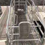 Hot DIP Galvanized Swine Farrowing Pen With BMC Slat