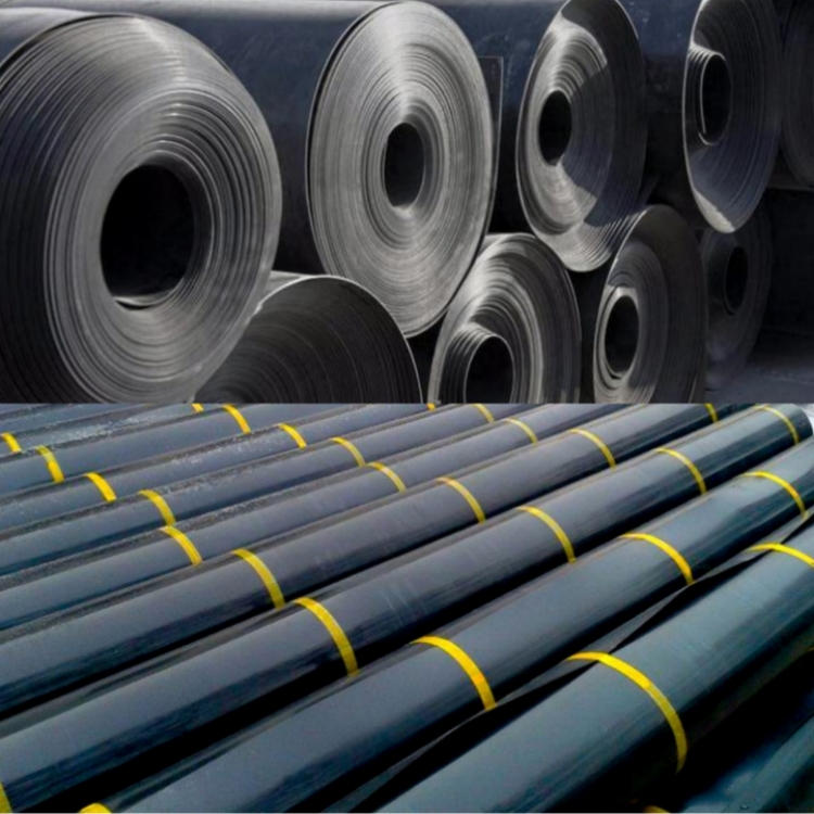 Waterproof HDPE Geomembrane Fish Pond Liner 0.3mm 0.5mm for Project Solution Capability