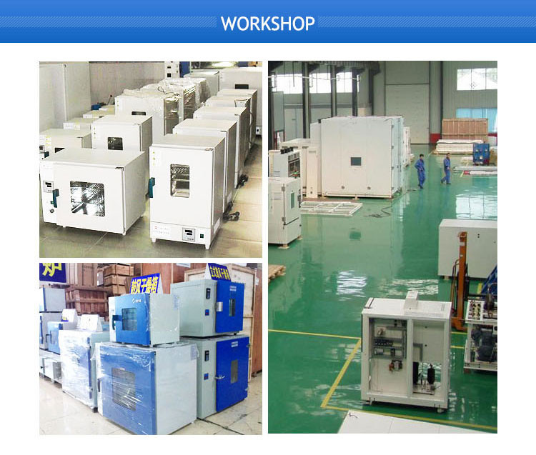 Vacuum Drying Oven Anti Corrosion Explosion 91L