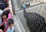 Bird Netting Aviary Fence Steel Cable Mesh 30*30mm