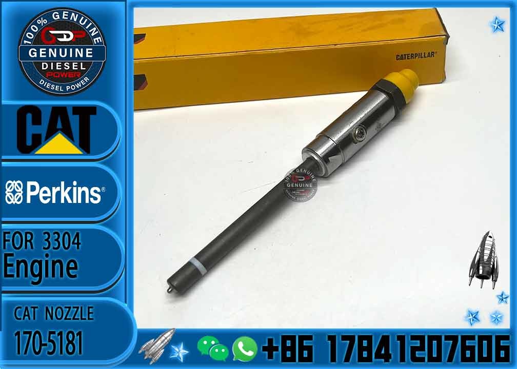 Common Rail Injector 170-5181 0R-3422 7W7026 4W7016 4W7018 7W7032 7W7031 7W7038 8N7006