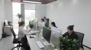 Shanghai Apying Technology Co., Ltd.