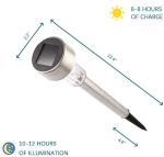 Stainless Steel 13.4'' Outdoor Solar Yard Lights
