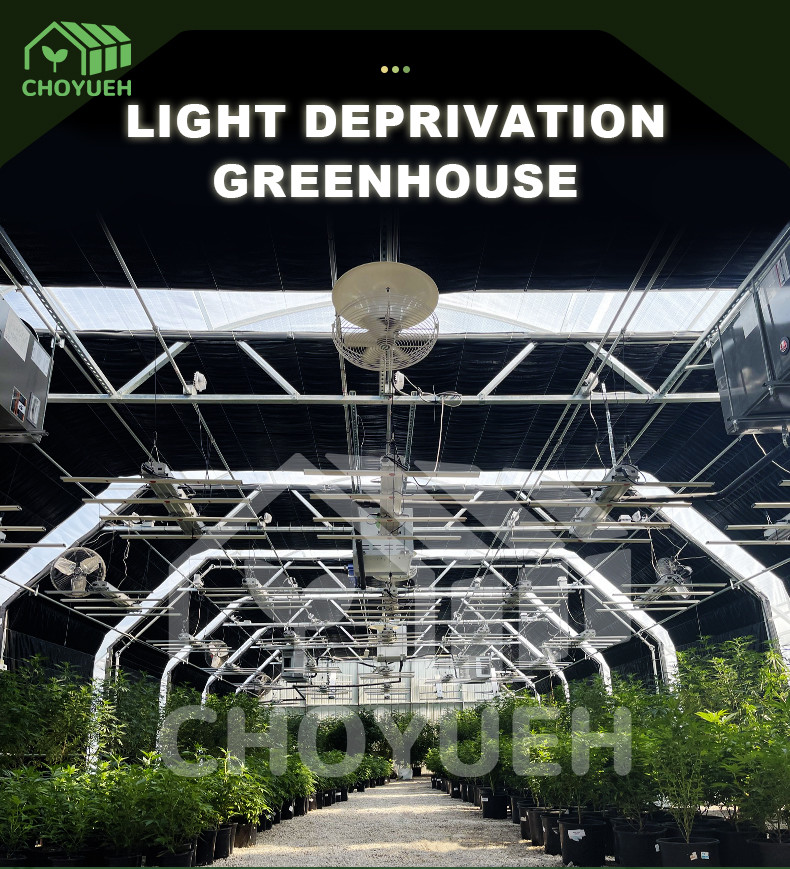 Hot Galvanized Steel Pipes Auto Light Deprivation Greenhouse With Blackout Curtain