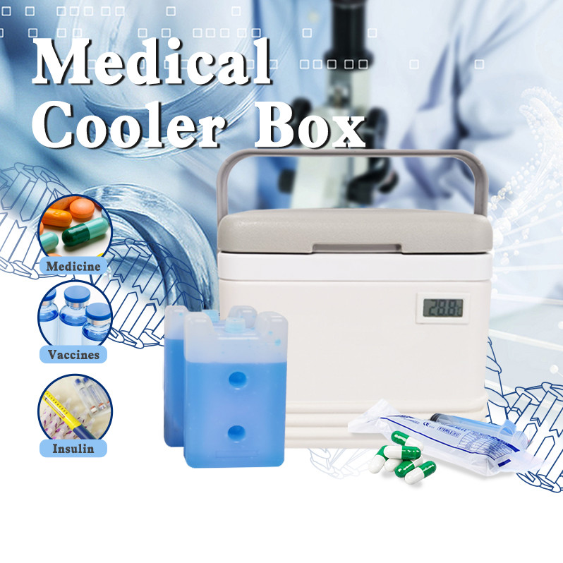 High-Performance Small Portable Cooler for Medicine External Dimensions 260*200*200mm