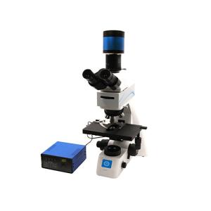 China Coarse / Micro Coaxial Focusing Upright Biological Microscope B70F wholesale