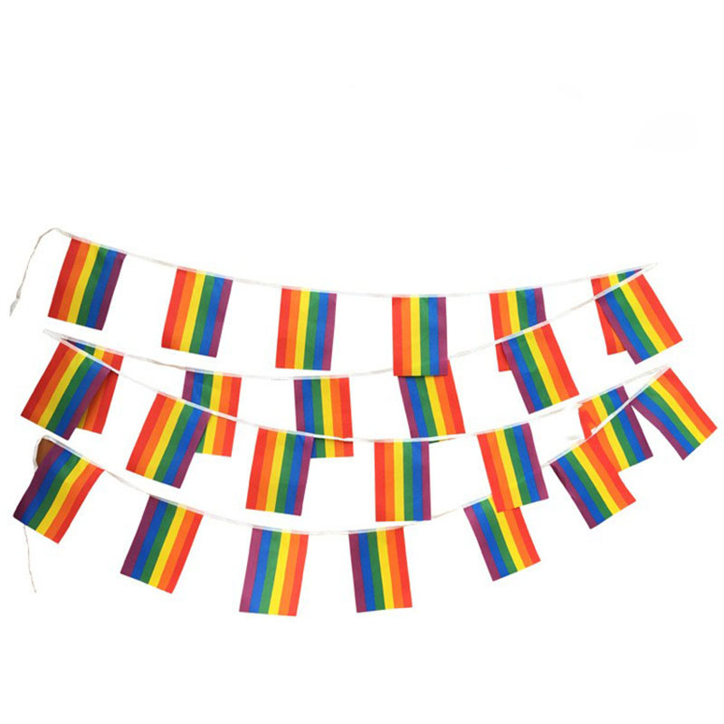 Custom Logo Polyester LGBT Flag Lesbian Gay Pride Triangle Flag