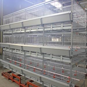 China H Type 500cm2 Meat Chicken Cage , ISO9001 3/4 Tiers Broiler Poultry Equipment wholesale