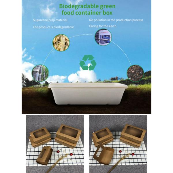 OEM Disposable Food Packaging Containers FSC Sugarcane Disposable Bowl Plates