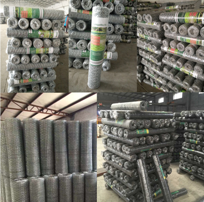 3/4 Inch 19mm Chicken Mesh Fence Electro Galvanized Hexagonal Wire Net