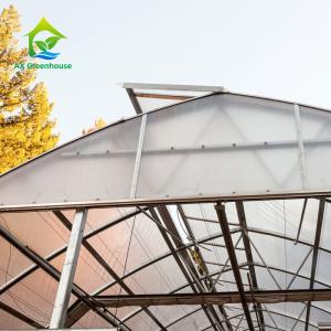 China Vertical Farming Clear Polycarbonate Greenhouse 3m To 7m Height wholesale