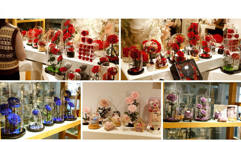 beauty and the beast roses preserved roses in glass dome rose for lover's gift