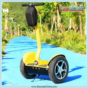 China Shenzhen Xinli Escooter Wholesale stylish 3 wheel roadpet ginger mypet electric scooter ce wholesale