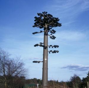 China Telecommunication Monopine Camouflage Cell Tower wholesale