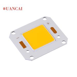 China 1200mA GL 4046 2424 50w 100w cri80 Floodlight COB Chip wholesale