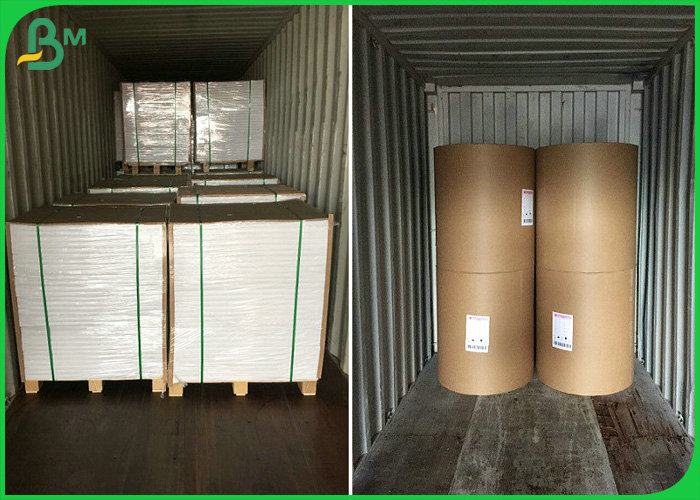 80gsm to 120 gsm UWF Uncoated Woodfree Paper OBA free in reels For Cups