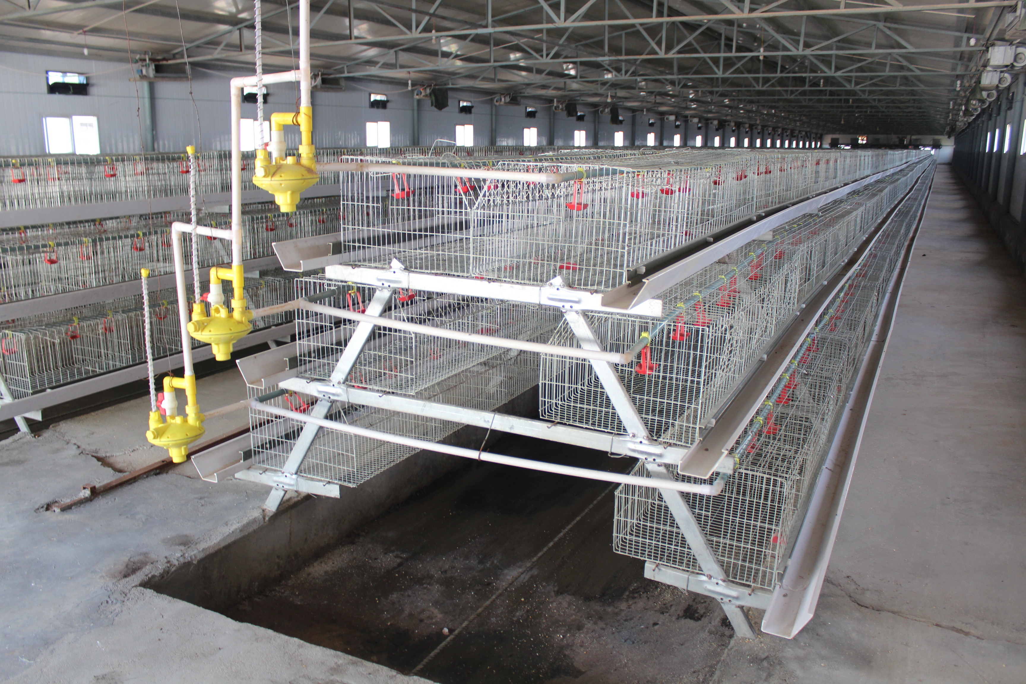 Automatic Pullet Baby Chick Cage Chicken Layer Poultry Farm Equipment