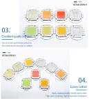 Czinelight Manufacturer Cob Led Chip 10w 20w 30w 50w 100w Watt 12v 30-34v High