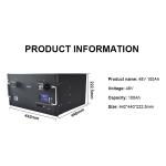Black Solar Energy Storage Lifepo4 Battery 48V 100Ah Wall Mounted