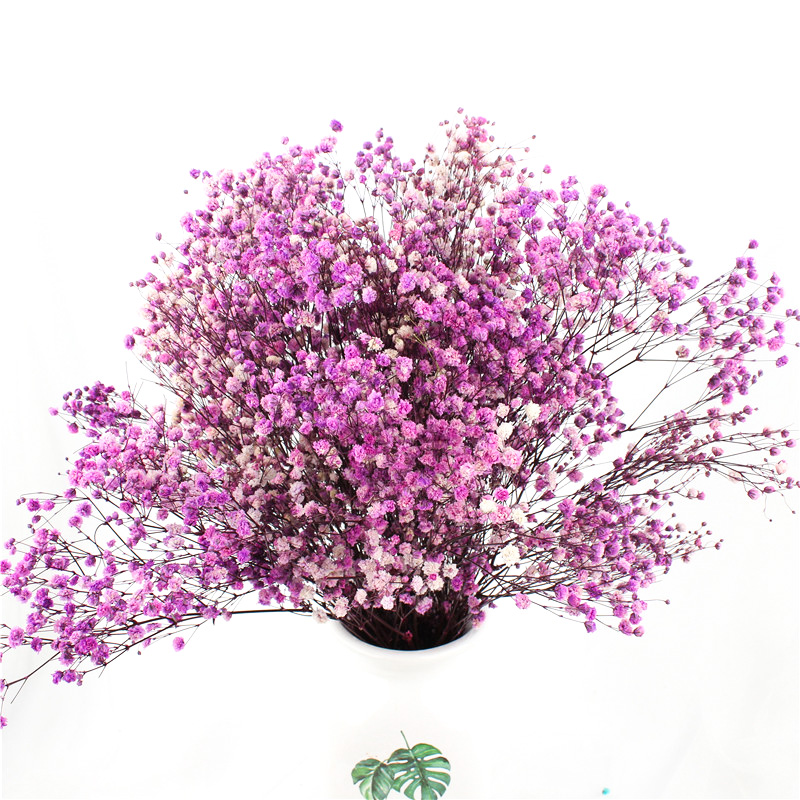 Home Decorations Everlasting Beautiful Dried Flowers Babys breath Preserved