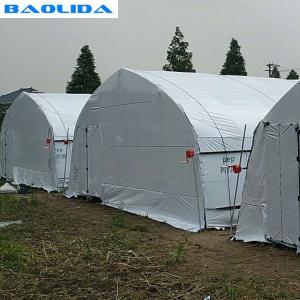 China Off Season Tunnel Plastic Film Greenhouse Mushroom Greenhouse wholesale