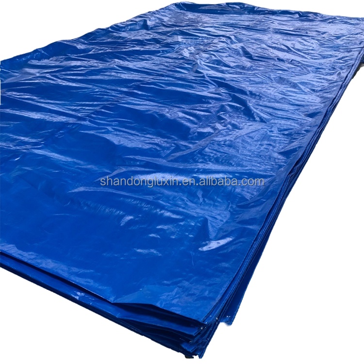 Double Faced Pe Tarpaulin Trucking Covering Tarpaulin Roll Pvc Density 6*6-16*16