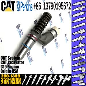 China CAT C15 Engine Caterpillar Fuel Injector 10R-3258 250-1309 Origional Standard wholesale
